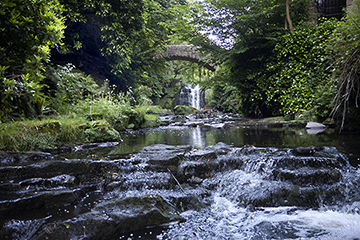 jesmond dene